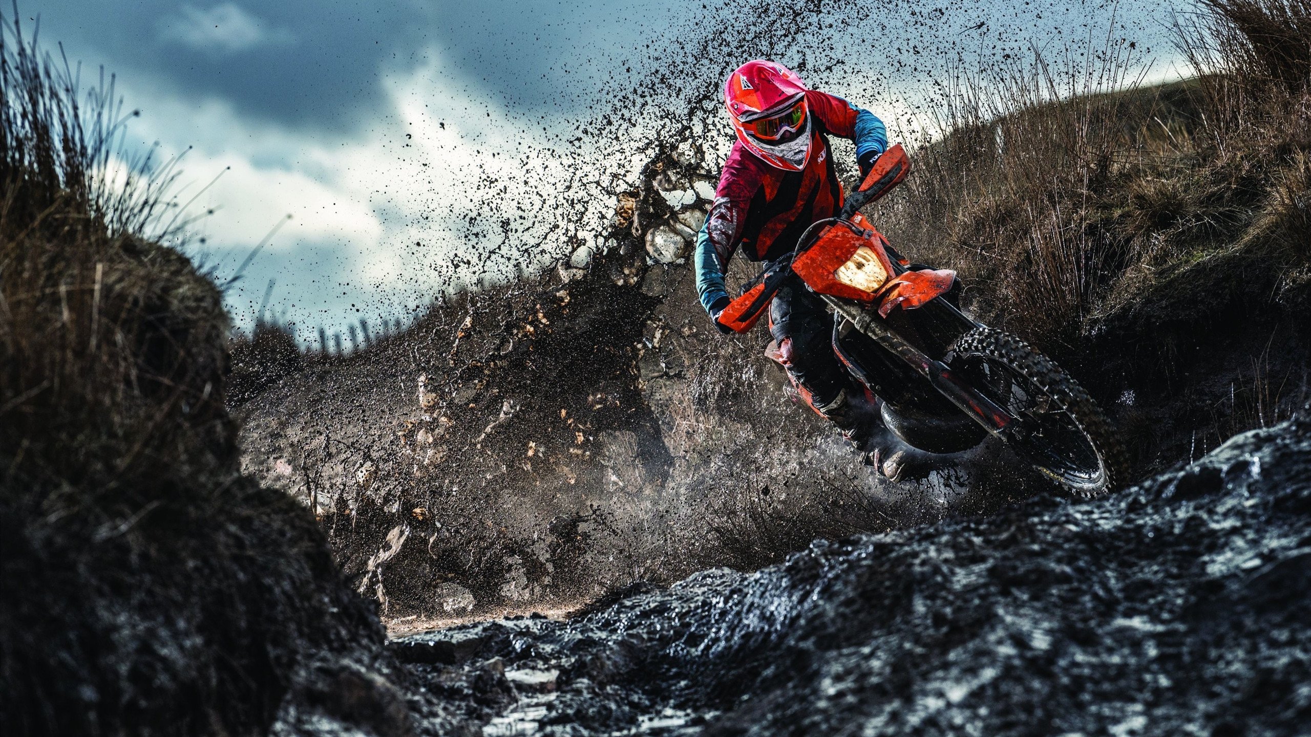 仰泳赛道中立代表队A选手节奏精准,仰泳 2017